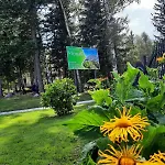 Monali Guest house 3*