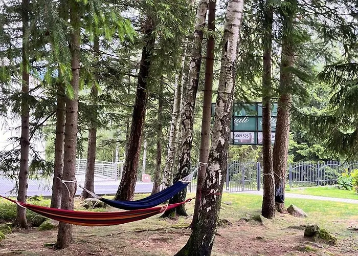 Guest house Monali 3*