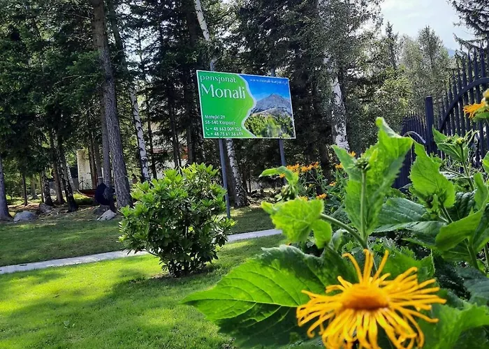 Monali Guest house 3*